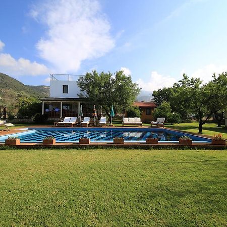 Bal Badem Bungalow Datça Buitenkant foto