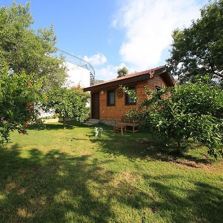 Bal Badem Bungalow Datça Buitenkant foto