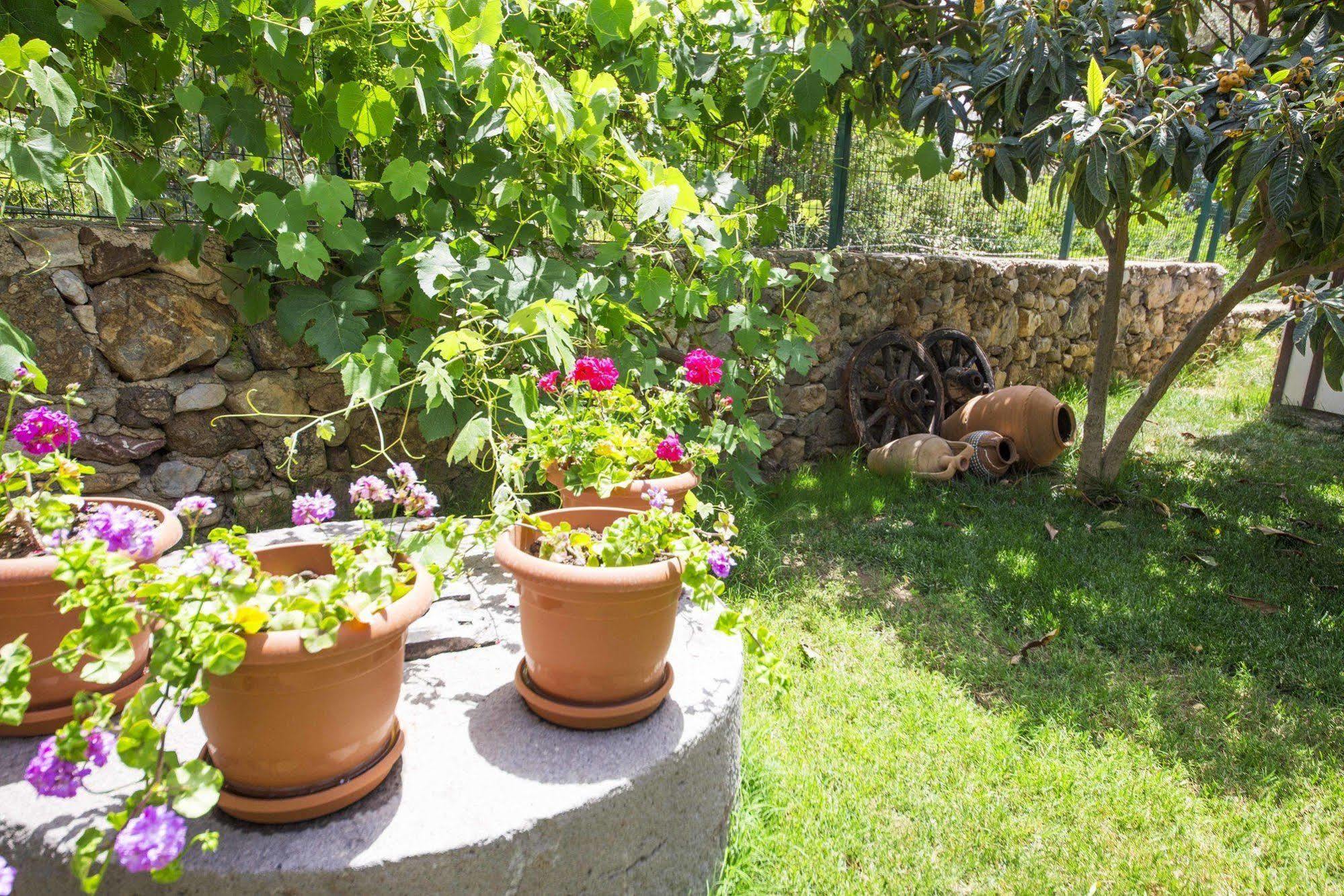 Bal Badem Bungalow Datça Buitenkant foto