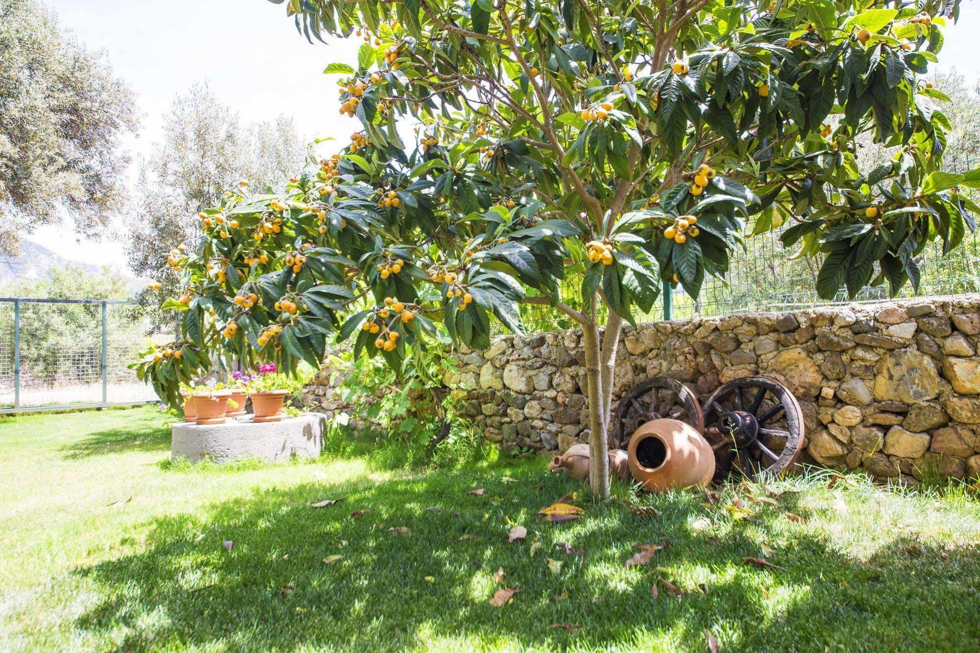 Bal Badem Bungalow Datça Buitenkant foto